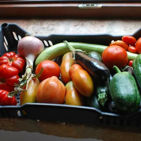 Casa Vinto Gasthof 3*