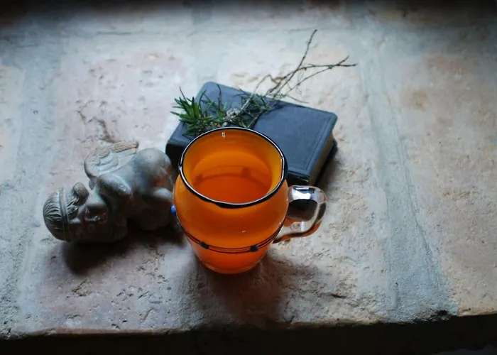 Casa Vinto Pensionat