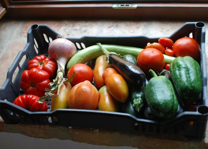 Casa Vinto Pensionat 3*